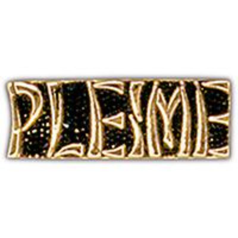 P15273 Pin - Vietnam, Script Pleime - 1 in.