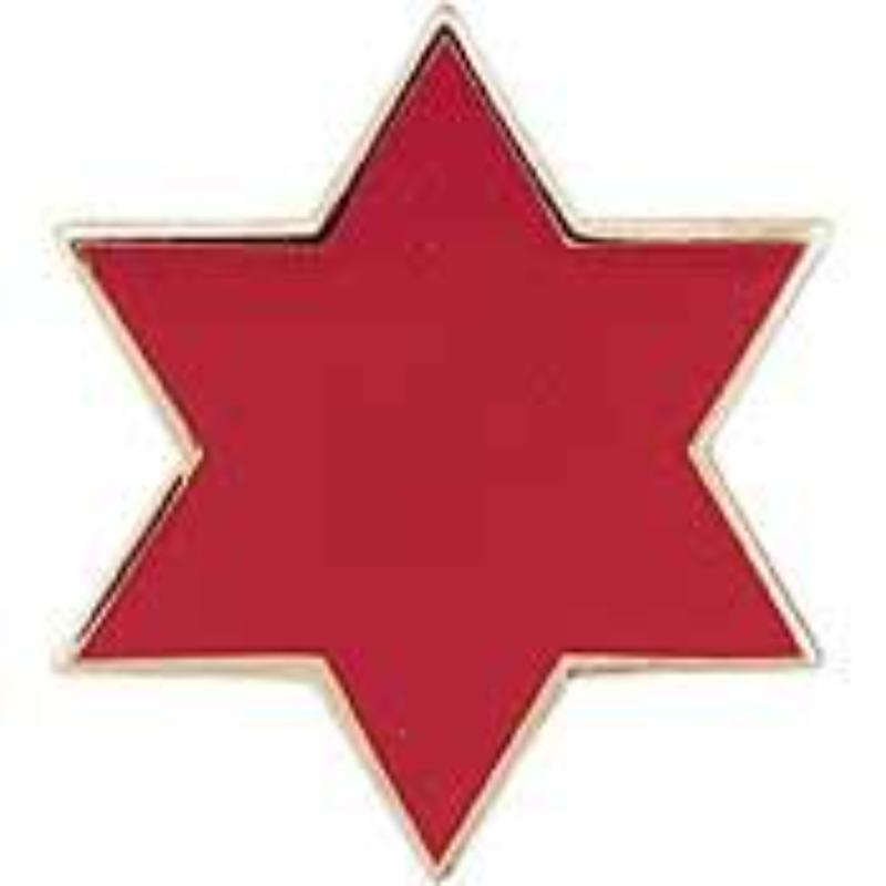 P15487 Pin - Army, 6th Infantry Division - 0.88 in.