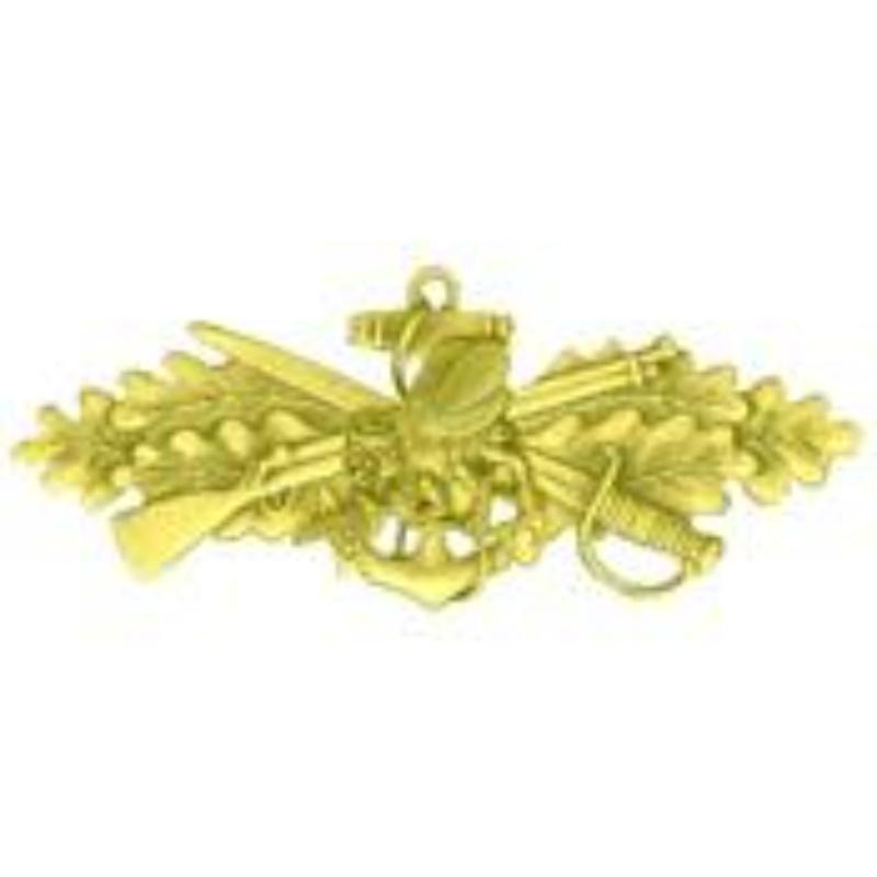 P16525 Pin - USN, Seabee, Combat WFR - Gold - 1.5 in.