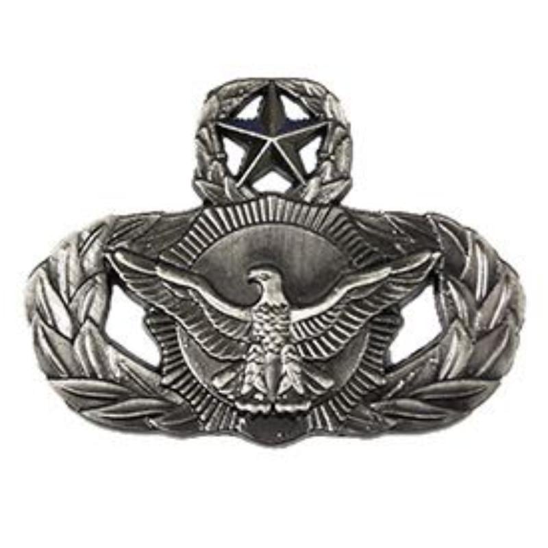 P16552 Wing Pin - USAF, Security Police, Master - Pewter - 1.63 in.