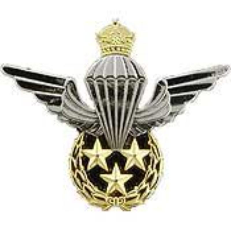 P40012 Wing Pin - Iran, Jump - 2.25 in.