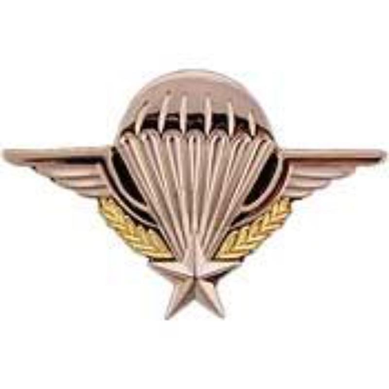 French Jump Wing Pin - Gold - 2.69 in. - Durable Military Design