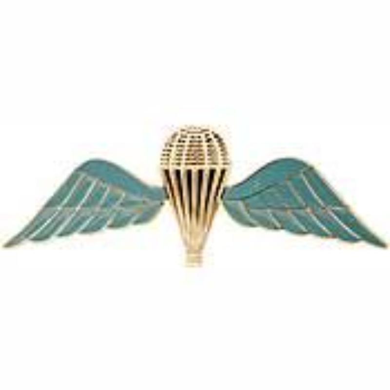 British Jump Wing Pin - Blue - 2.75 in. - Durable Material - Military Theme