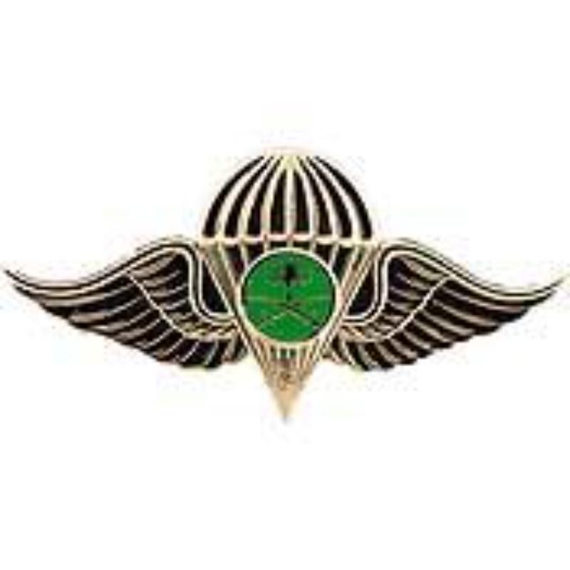 P40036 Wing Pin - Saudi, Jump - 2.5 in.