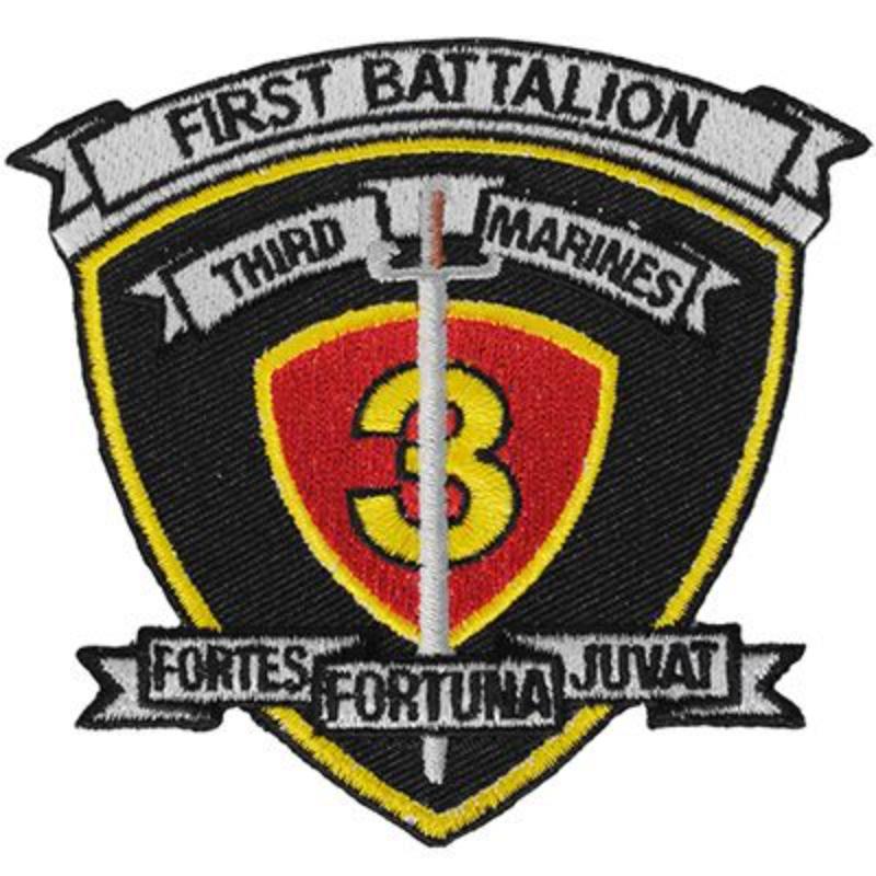 PM0460 Patch - USMC, 1st BN 3rd - 3 in.