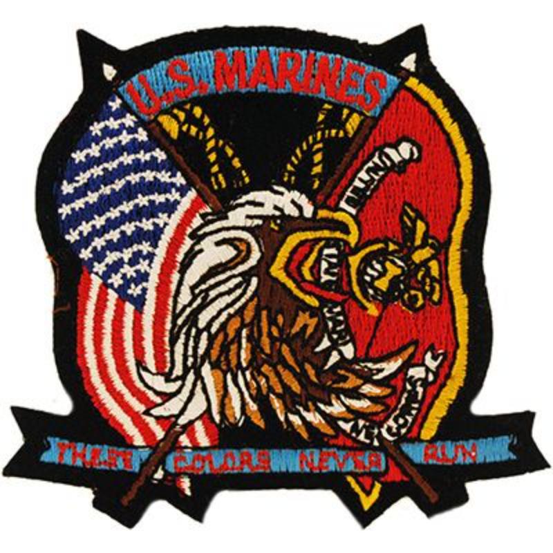 PM1237 Patch - USMC, These Colors - 3.25 in.