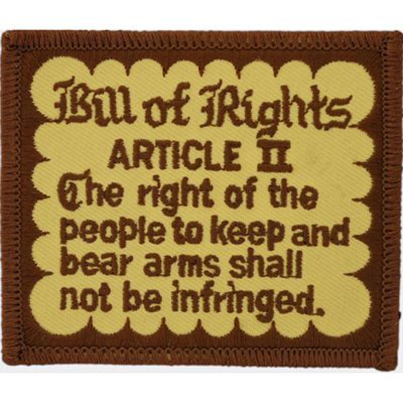 PM4041 Patch - Gun, Bill of Rights - 3.25 in.