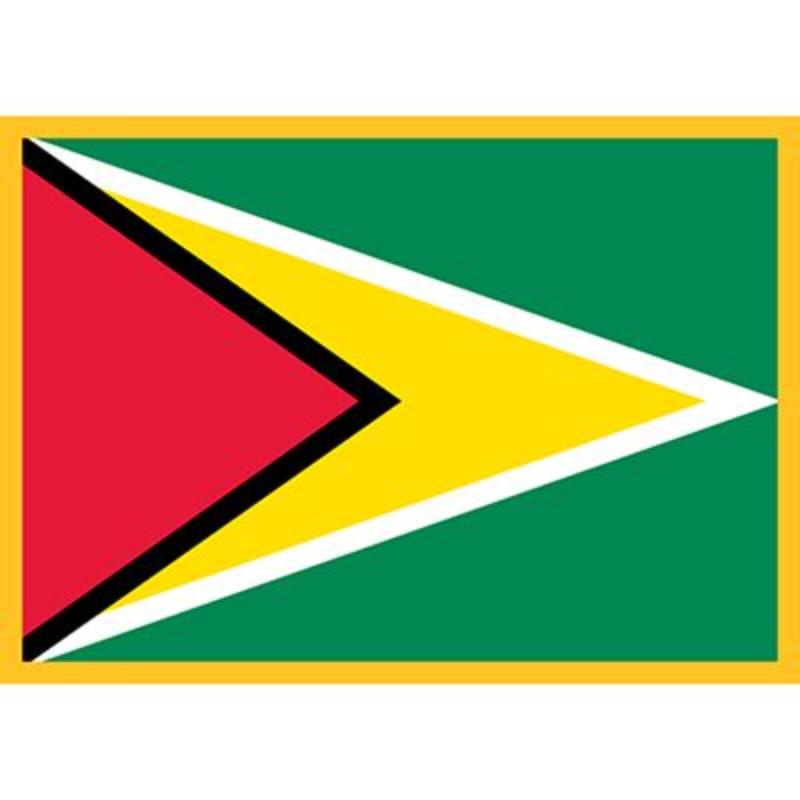 PM6041 Patch - Guyana - 3.5 x 2.5 in.