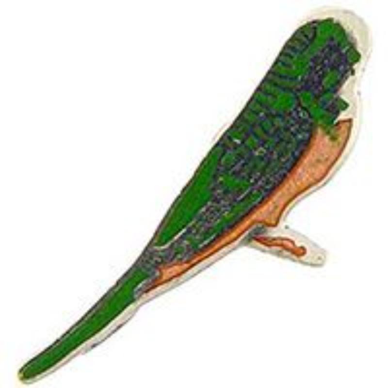 P00187 Pin - Bird, Parakeet - 1 in.