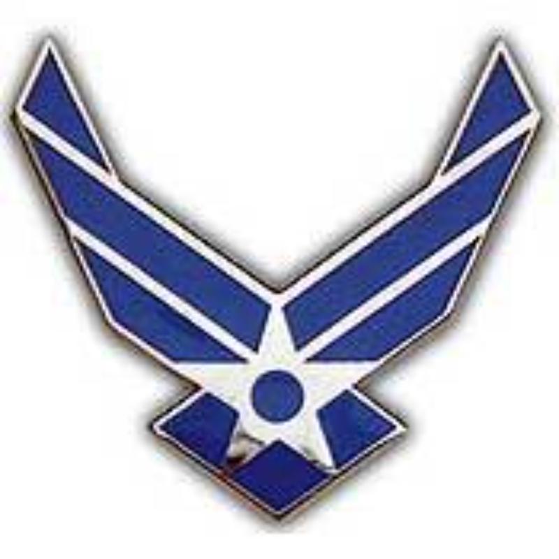 Mini Pin - USAF Symbol - 0.75 in. - Durable Design