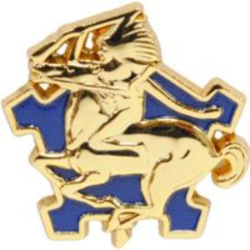 P14136 Pin - Army, 9th Cavalry Regiment - 1 in.