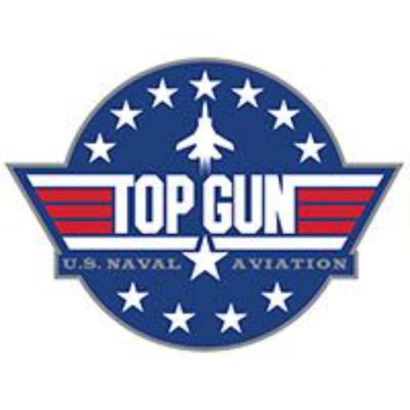 P15117 Pin - APL, Top Gun Star Fighter - 1.38 in.