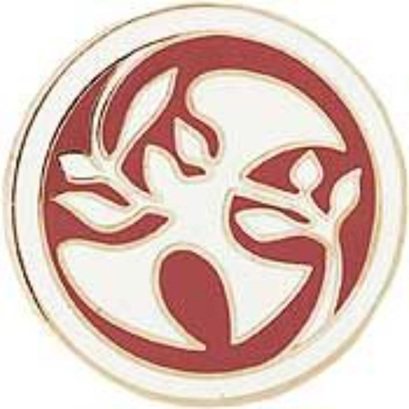 P15350 Pin - Peace Keeping - 1 in.