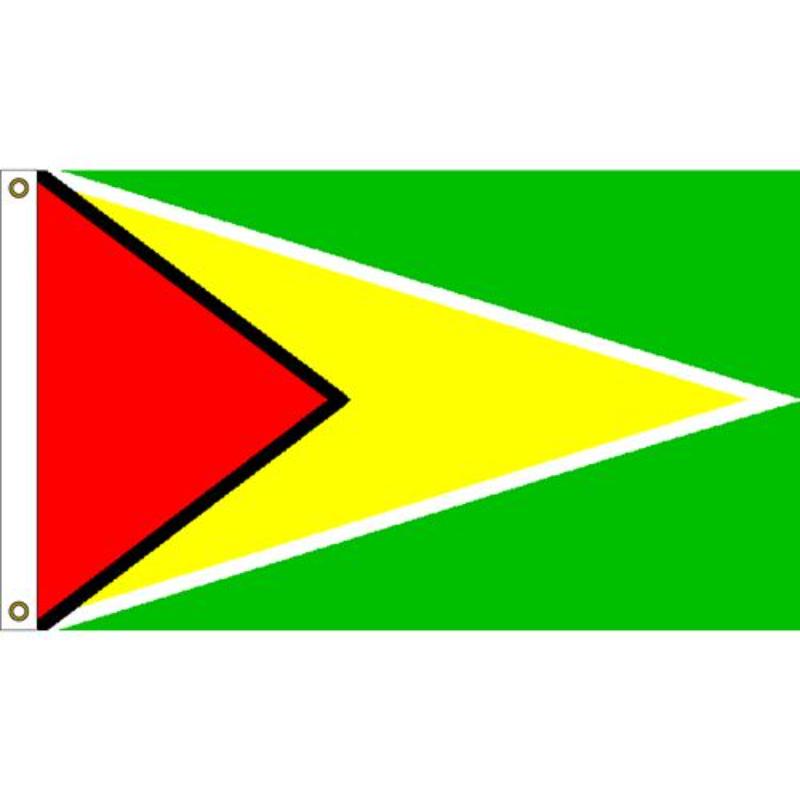 F1041 Flag - Guyana - 3 x 5 ft.