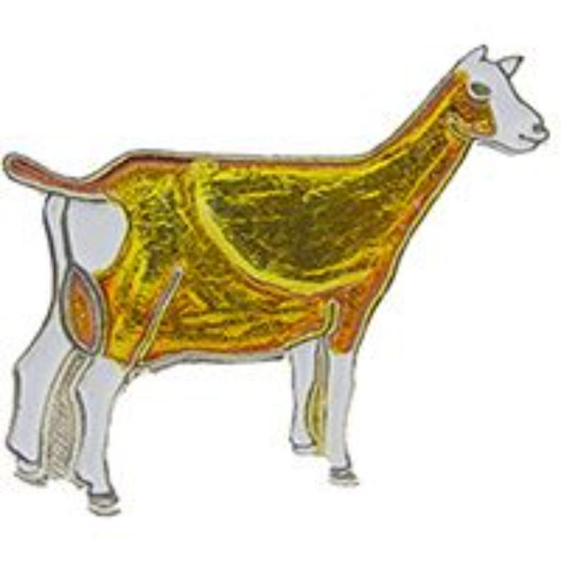 P00255 Pin - Goat, Toggenburg - 1 in.