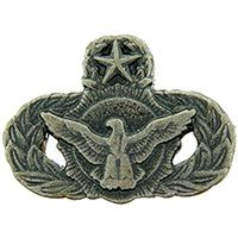 P12109 Mini Wing Pin - USAF, Security Police, Master - Pewter - 0.88 in.