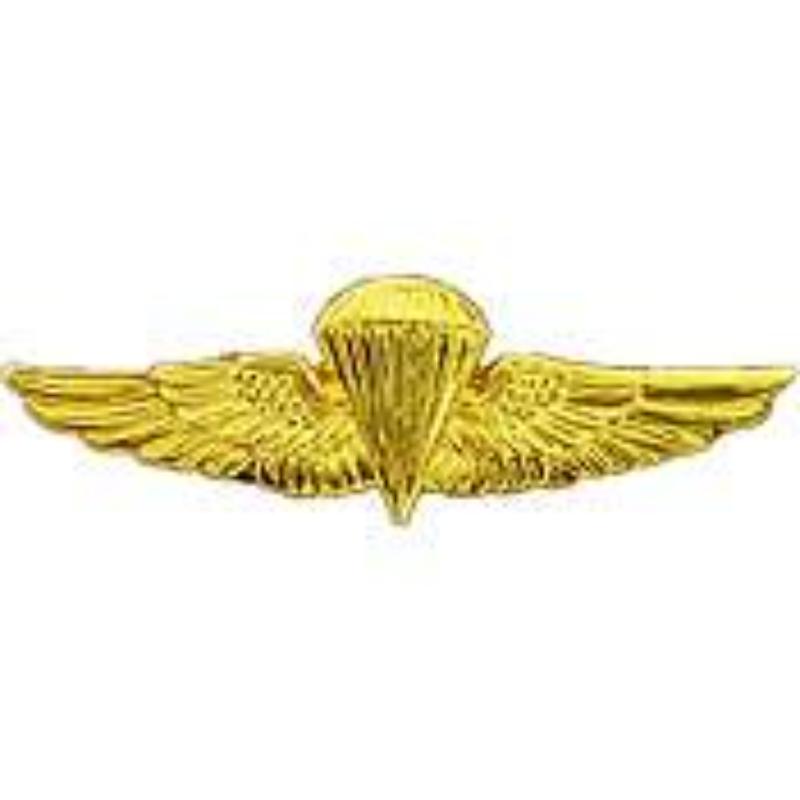 P14806 Mini Wing Pin - USN & USMC, Para, Basic - Gold - 1.38 in.
