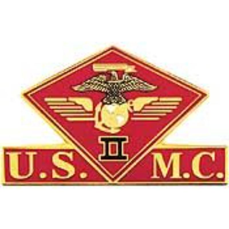 P15017 Pin - USMC, 2nd MC Wing - 1.38 in.