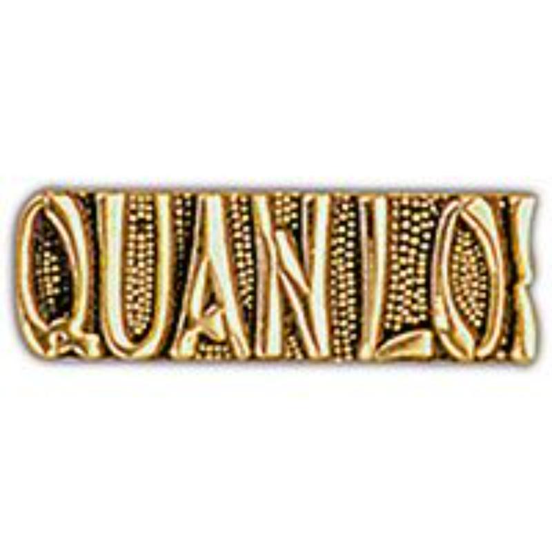 P15187 Pin - Vietnam, Script Quan LOI - 1 in.