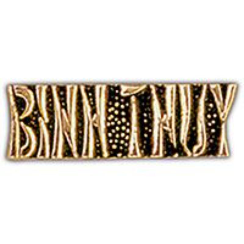 P15224 Pin - Vietnam, Script Benh Thuy - 1 in.