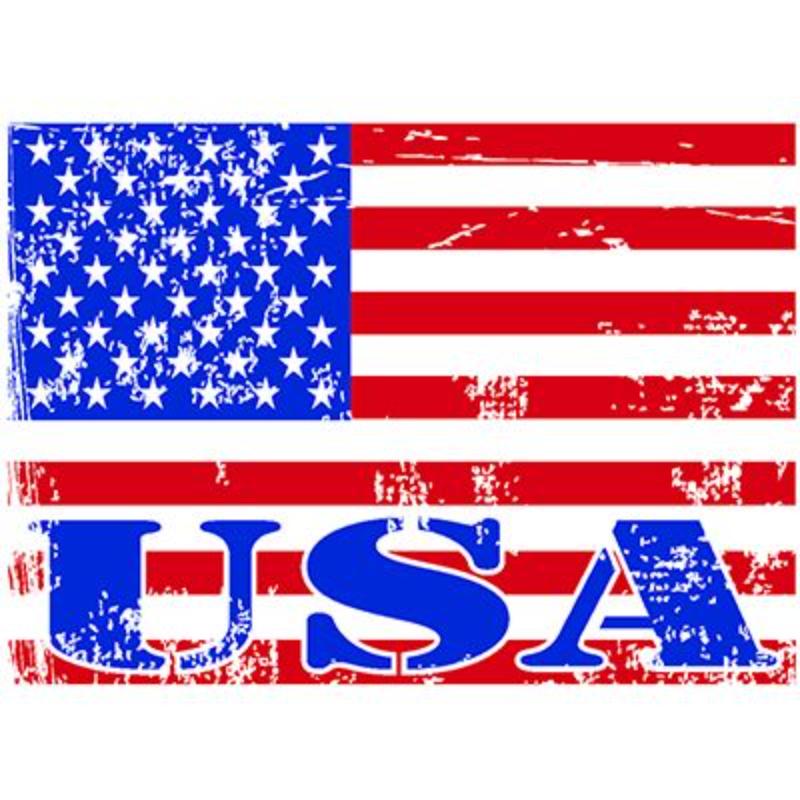 MG0830 Magnet - USA Button - 2.5 x 3.5 in.