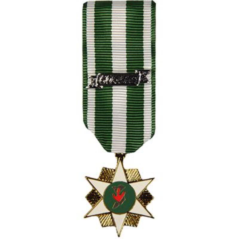 M2078 Mini Medal - Vietnam, Campaign with Date Bar - 2.25 in.