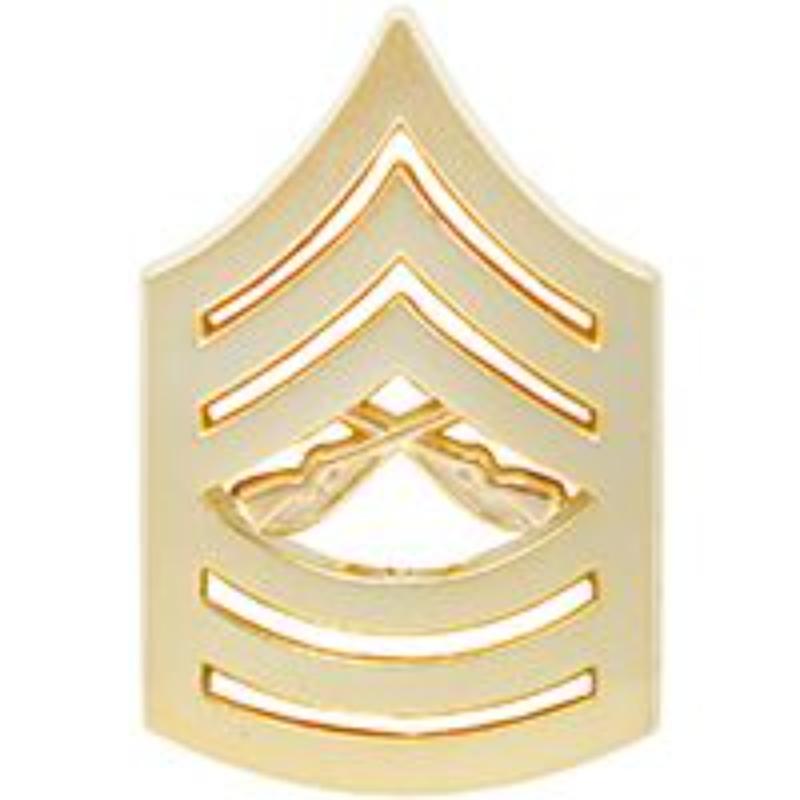 P10229 Rank - USMC, E8, Master Sergeant - Gold - 0.88 in. Wide