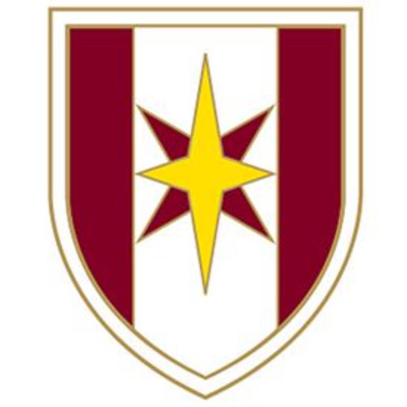 Army Pin - 44th Medical Brigade - 1 in. - Durable Design