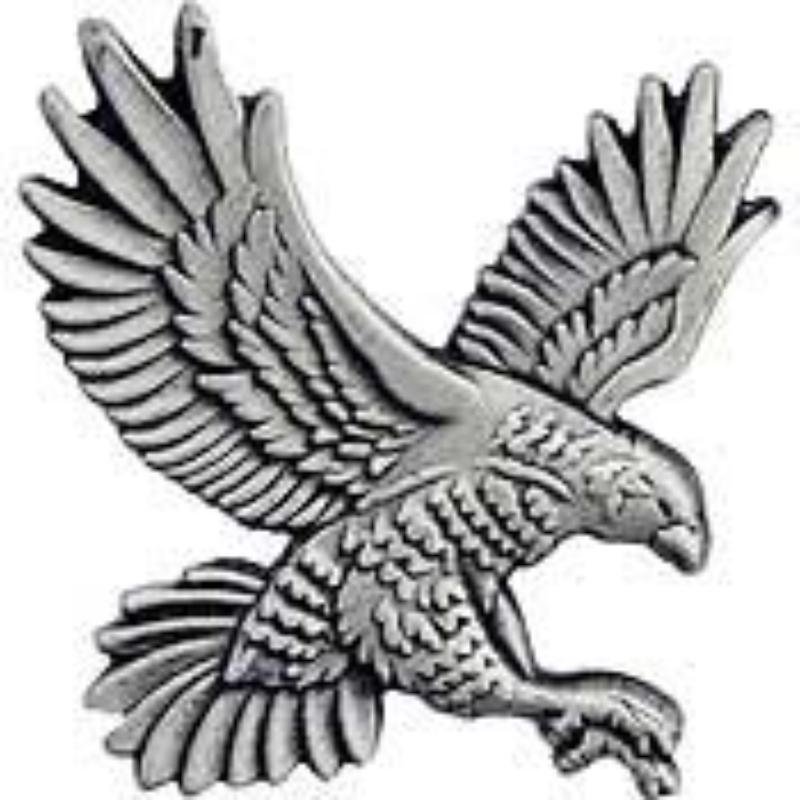 P15201 Pin - Bird, Falcon 1 - 1 in.