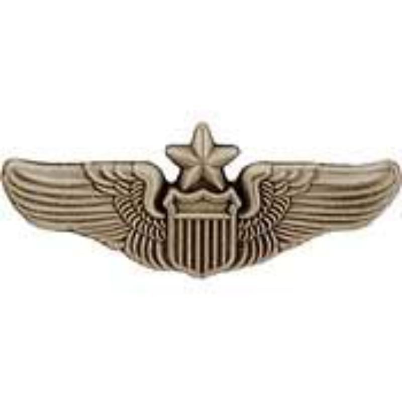 P15442 Mini Wing Pin - USAF, Pilot, Senior - 1.25 in.