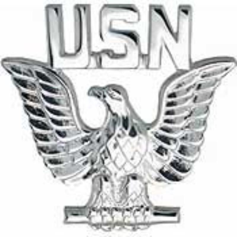 P15751 Pin - USN, Enlisted, Silver - 1 in.