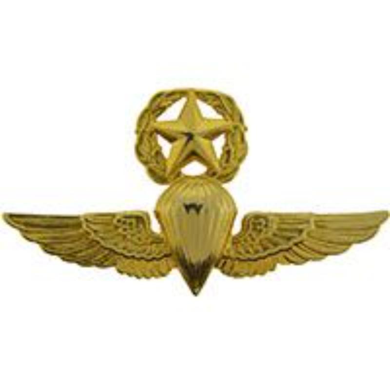 P16319 Wing Pin - USN & USMC, Para, Master - Gold - 2.75 in.