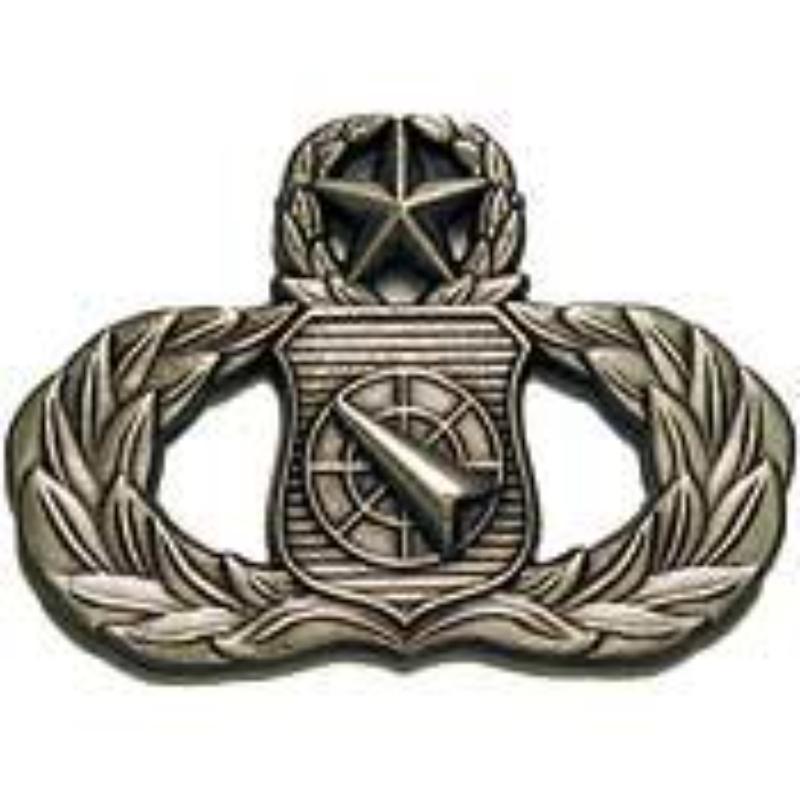 USAF Weapons Control Wing Pin - Gold - 1.63 in. - Durable Design