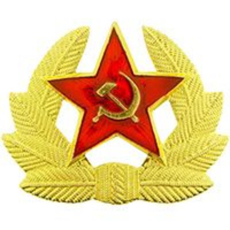 P40011 decal - Russia, Cap - Wire Prong Backs - Light Gold - 2 in.