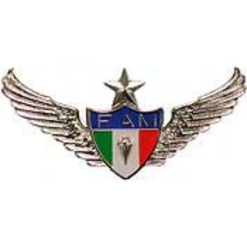 P40013 Wing Pin - Mexico, Jump, Senior - 2.75 in.