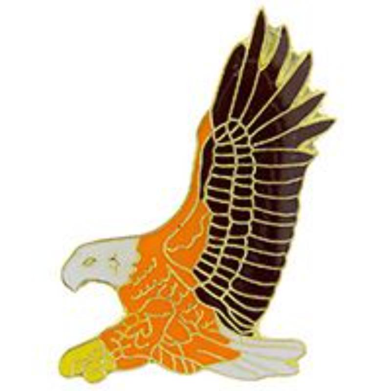 P60018 Pin - Eagle, Large - 1 in.
