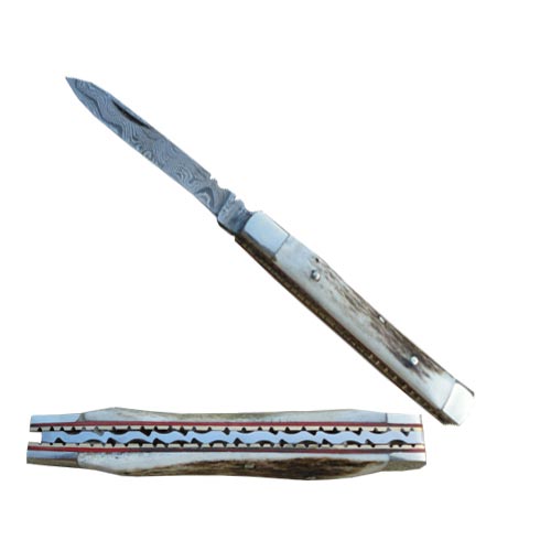 1005SG 4 in. Damascus Doctors Knife Bone Handle