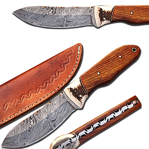DM-2162 9.5 in. Bolo Knife Full Tang Hardcore Damascus Knife