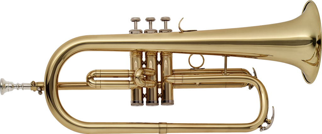 21068 Bb Flugelhorn with Brass Body, M-bore & Soft Case