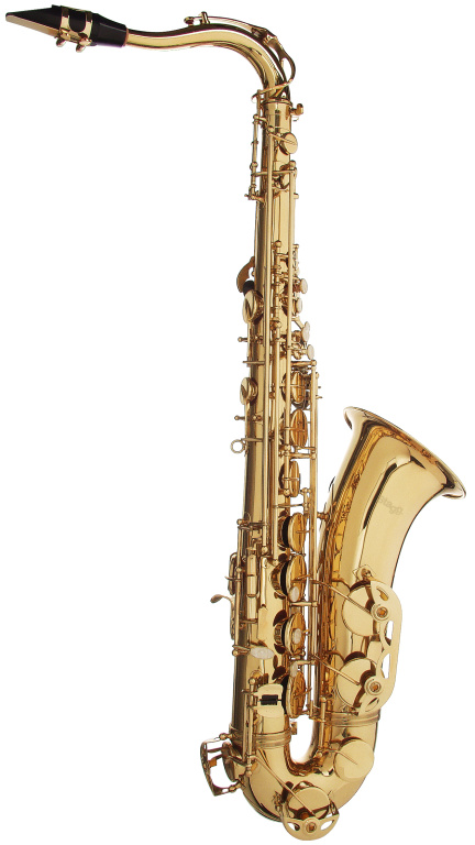 21056 Bb Tenor Saxophone in ABS Case