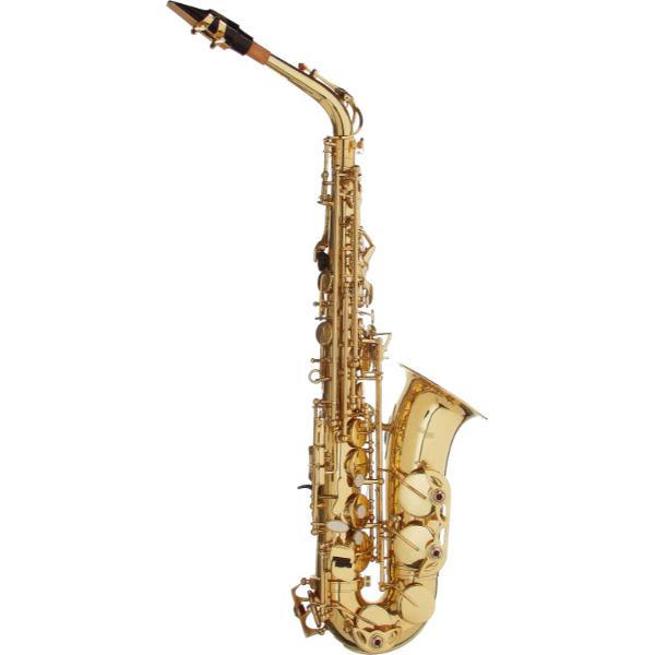 21029 Eb Alto Saxophone Body with ABS Case