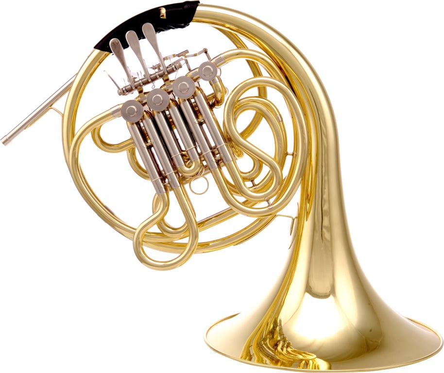 21689 F-Bb Double French Horn in Soft ABS Case