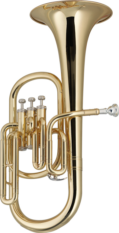 21036 Eb Alto Horn with 3 Valves & ABS Case- Clear Lacquered