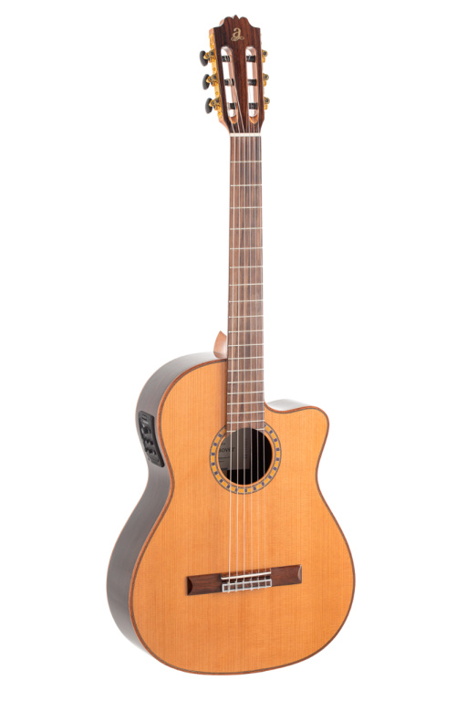 28265 Classical Guitar - Cutaway Equalizer - Fish Solid Cedar - Rosewood
