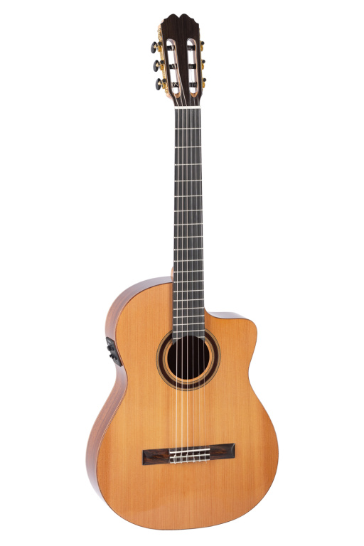 28263 Classical Guitar - Cutaway Equalizer - Fish Cedar Top - Thin Body