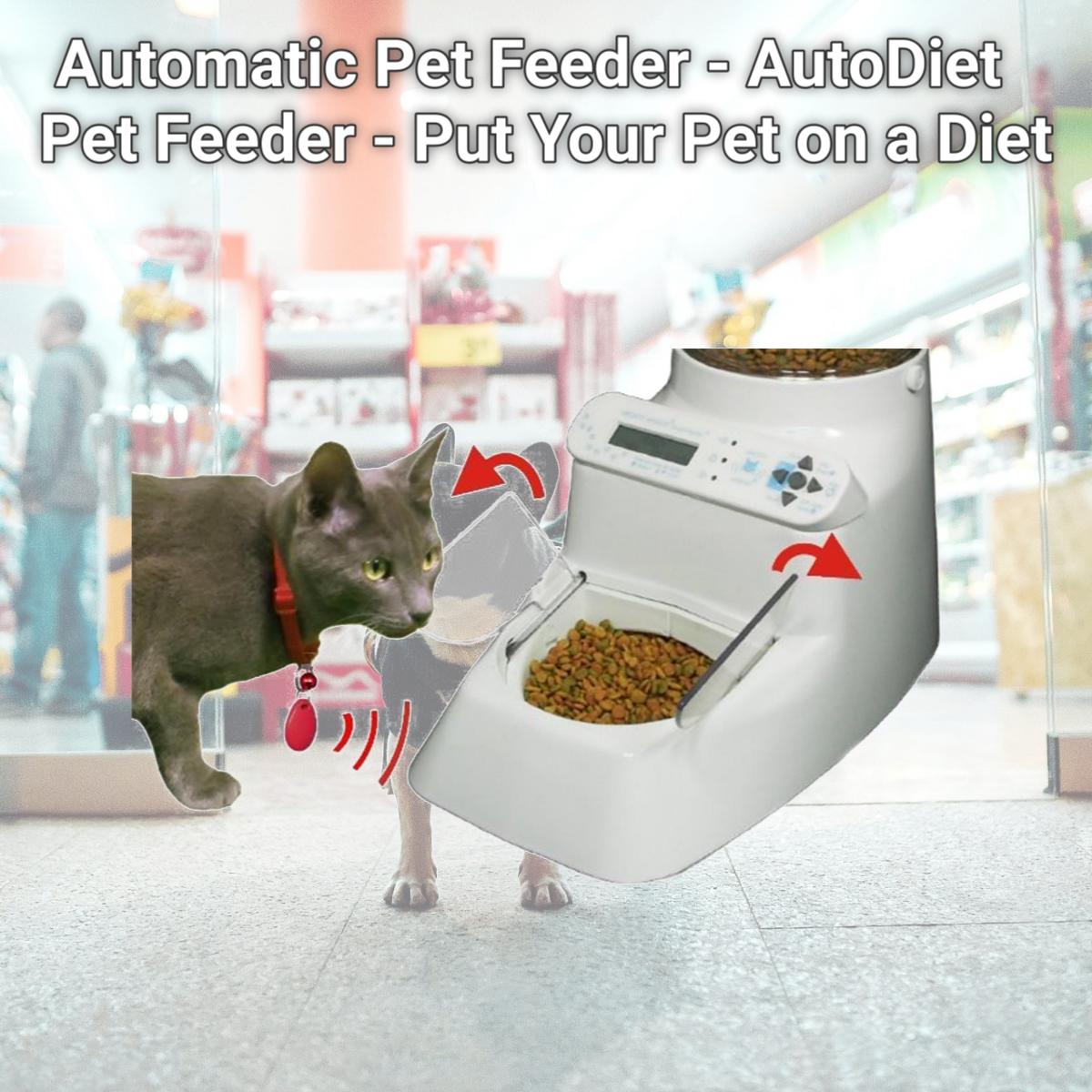 Picture of Wireless Whiskers Automatic Pet Feeder - AutoDiet Pet Feeder - Put Your Pet on a Diet