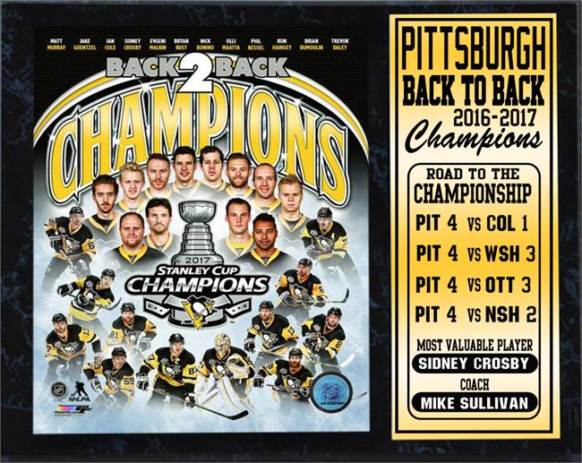 Picture of Encore Select 299-12 12 x 18 in. 2017 Stanley Cup Champions, Pittsburgh Penguins - Stat Plaque