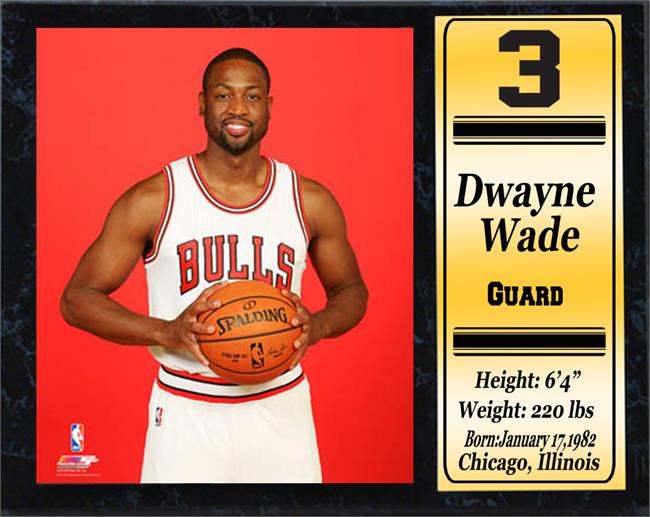 Stat Plaque - Dwayne Wade Chicago Bulls