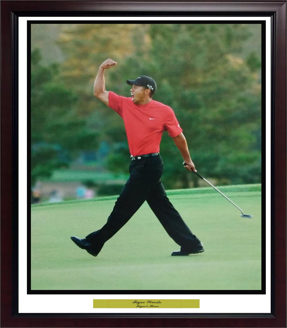Picture of Encore Select 290-70 Tiger Woods Tiger Roar Frame