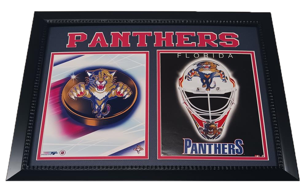 151-89 Florida Hockey 12x18 Custom Logo Frame